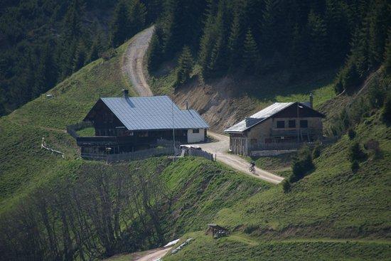Thaurer Alm