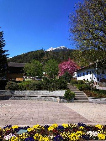 Gasthaus Pelikan