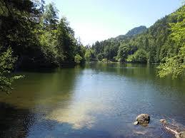 Pfrillsee