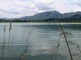 Walchsee